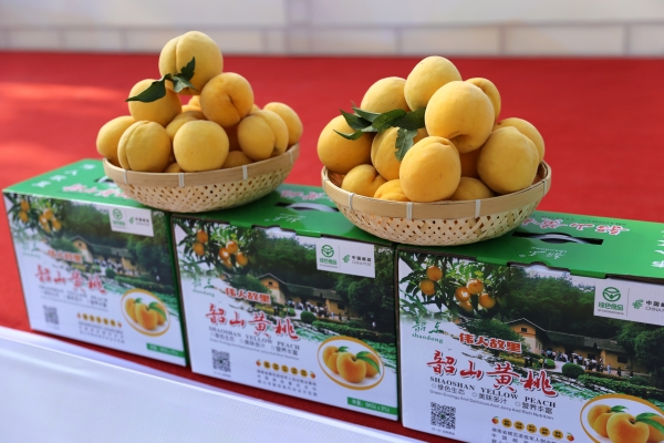 WPS图片-修改尺寸.jpg
