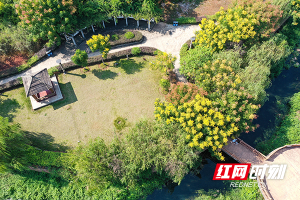 DJI_0392.JPG DJI_0392.JPG
