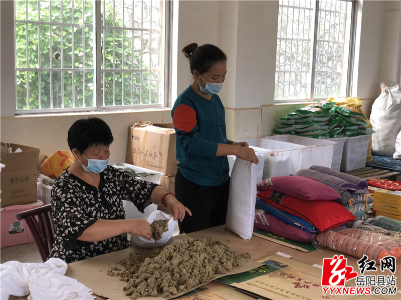 艾叶加工 (3).jpg
