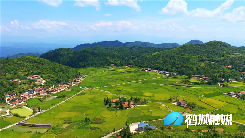 怀化鹤城区大坪村：初秋乡村田园风光美如画(半成品）.mp4_20210908_180119.894_副本.jpg