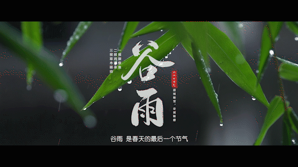二十四节气_谷雨.gif 二十四节气_谷雨.gif