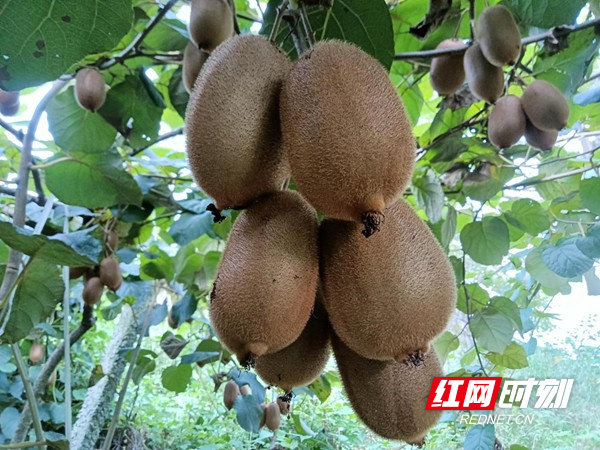 图片29.jpg 图片29.jpg