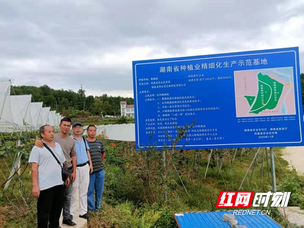 图片35.jpg 图片35.jpg