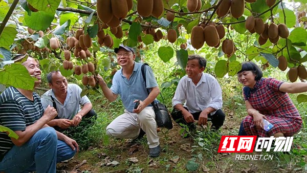 图片36.jpg 图片36.jpg