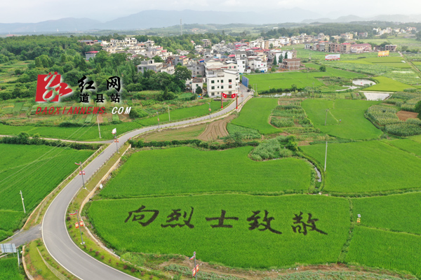 贵头村航拍.jpg 贵头村航拍.jpg