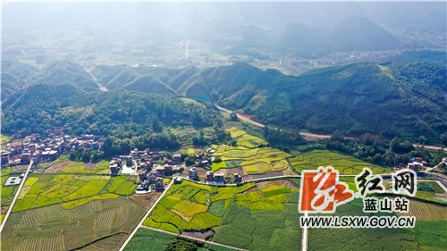 DJI_0850.jpg