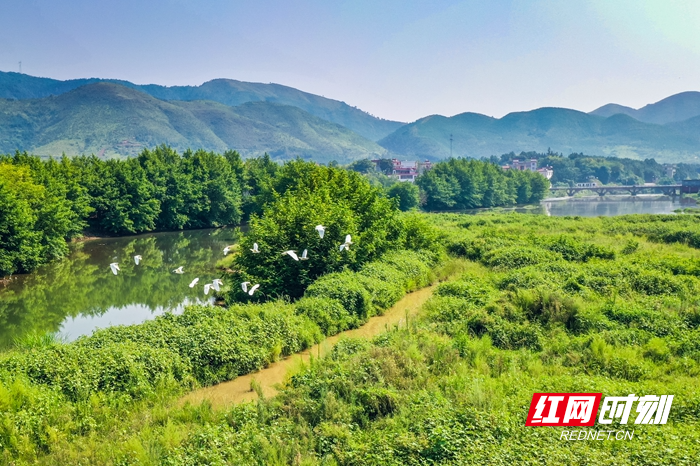 紅網時刻9月10日訊(通訊員 彭華)9月10日,藍山縣塔峰鎮雷家嶺村舜水