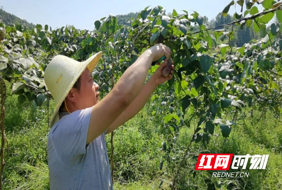 微信图片_20210914115213.jpg