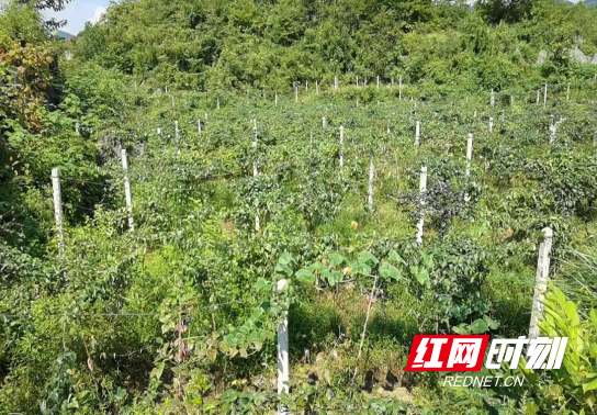微信图片_20210914115922.jpg
