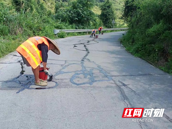 图片37.jpg