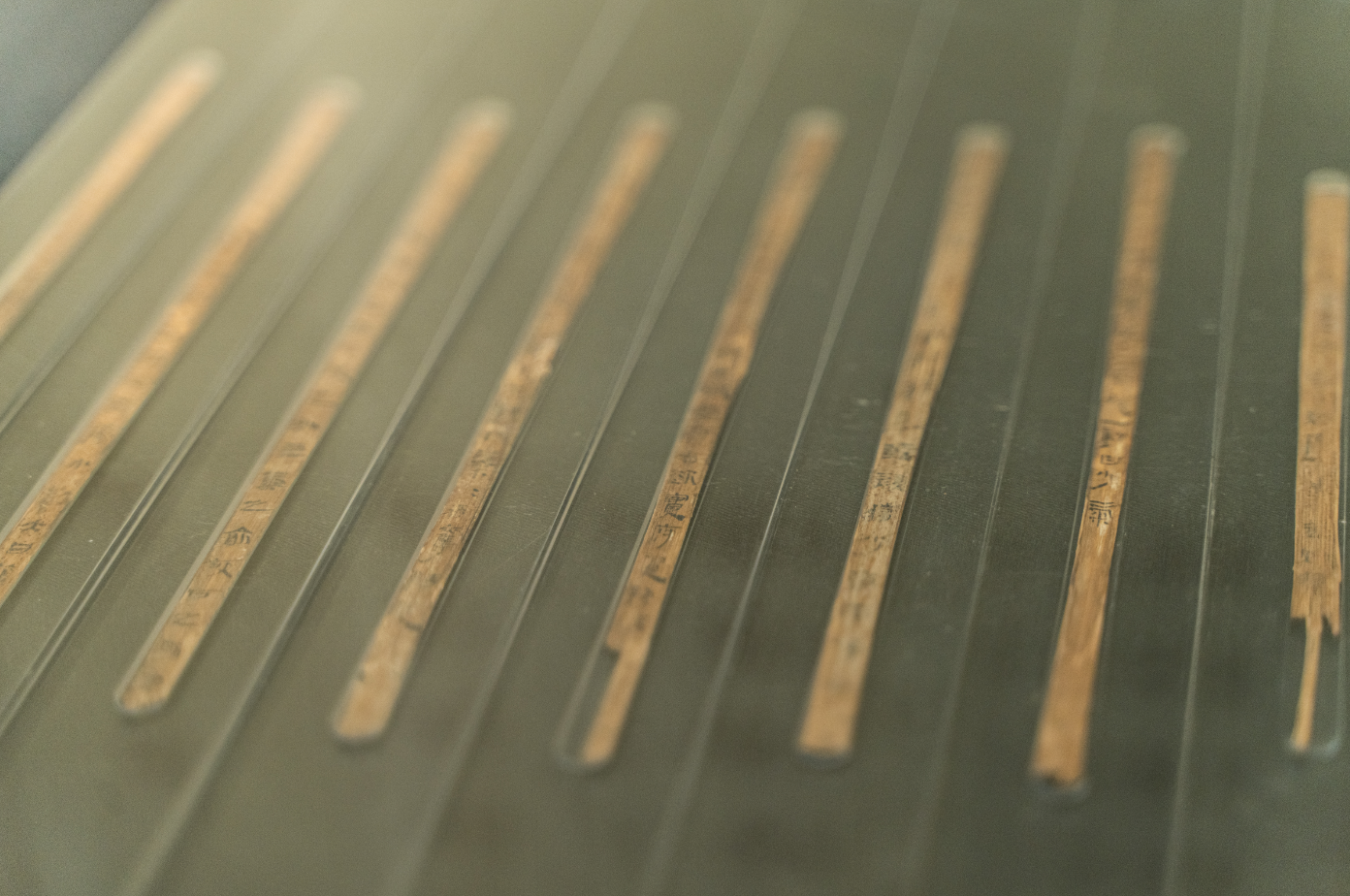 天回医简 成都博物馆藏