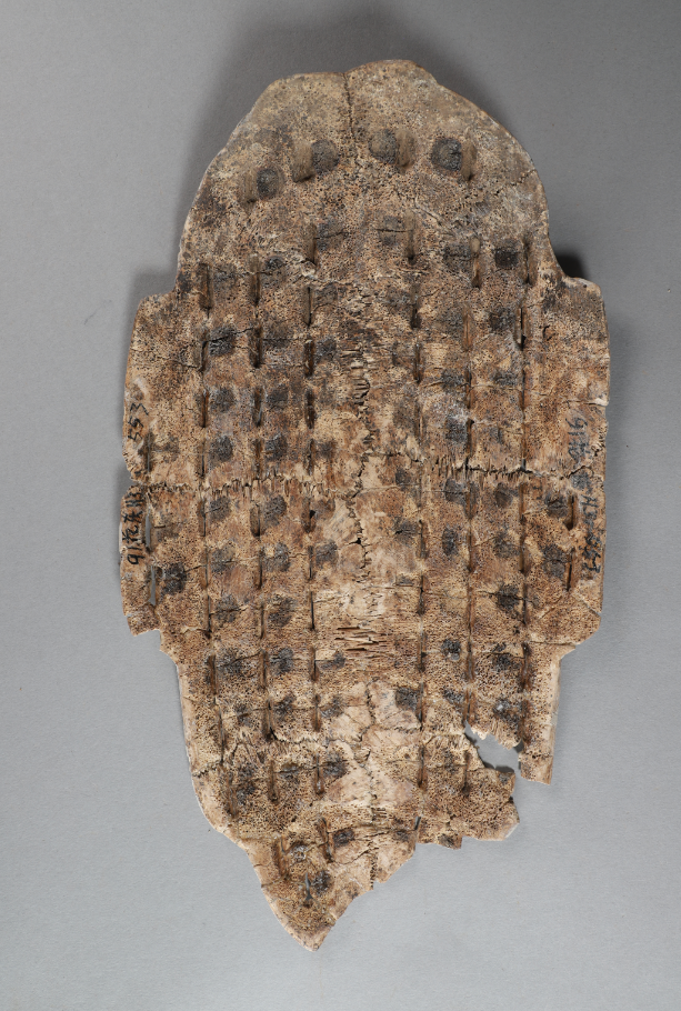 “疫、心疒”卜辞甲骨 中国社会科学院考古研究所藏