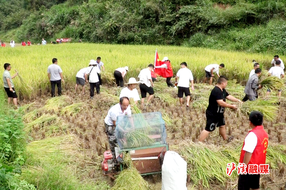 微信图片_20210916091803.jpg 微信图片_20210916091803.jpg