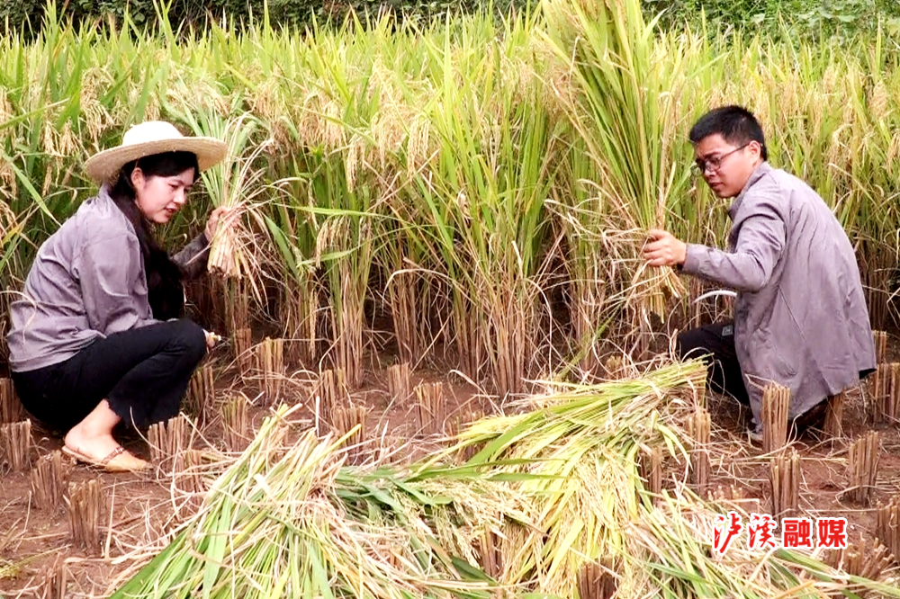 微信图片_20210916091808.jpg 微信图片_20210916091808.jpg