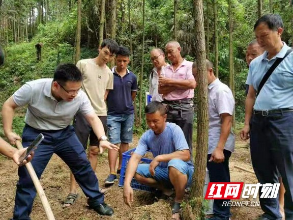 微信图片_20210916221337.marked.jpg
