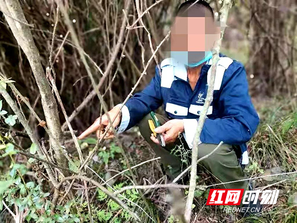 微信图片_20210916163949.jpg 微信图片_20210916163949.jpg