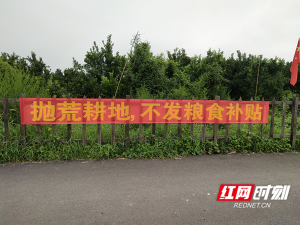 樟树抛荒宣传1_副本.jpg