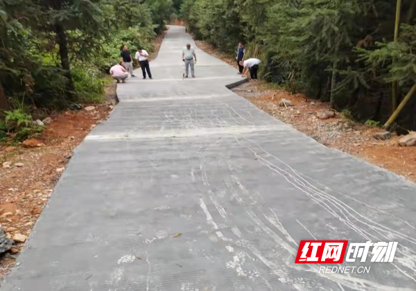 组织村民对茶叶园1.5公里入园道路实施路面硬化并通过验收.png