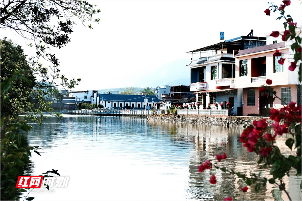 《洞美风光美如画》 李秀美 摄_副本.jpg 《洞美风光美如画》 李秀美 摄_副本.jpg