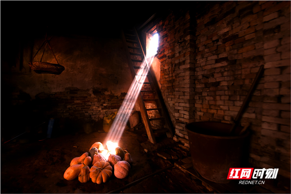 《静》杨勇 摄_副本.jpg 《静》杨勇 摄_副本.jpg