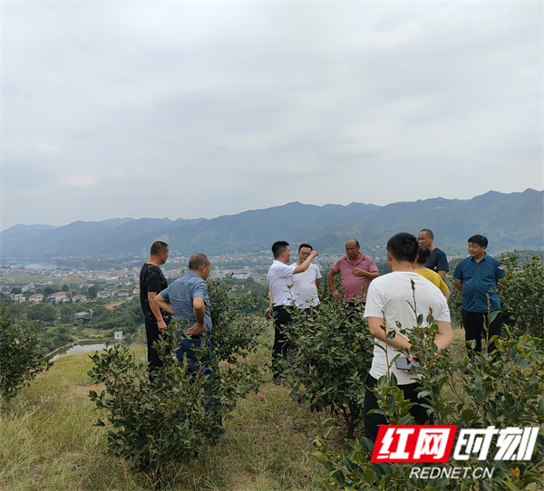微信图片_20210917145359.jpg