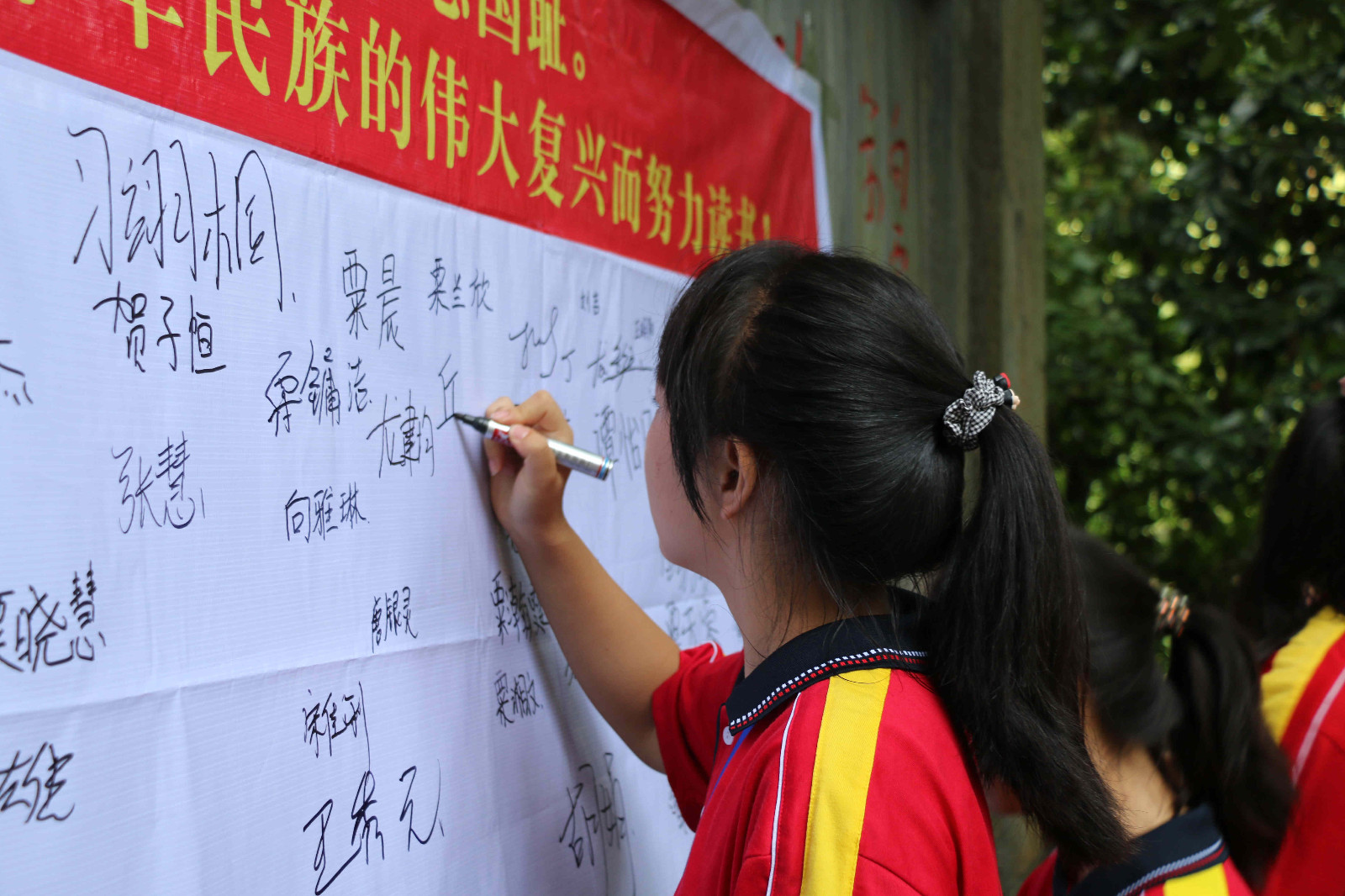 会同林城镇中学图片