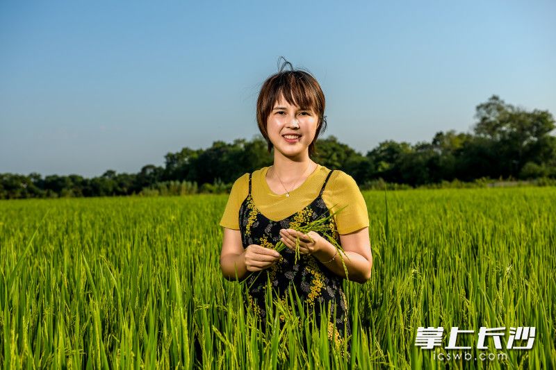 望城区广源种植专业合作社的无人农场即将迎来丰收，负责人肖定“稻田工厂”梦成为现实。全媒体摄影记者 陈飞摄