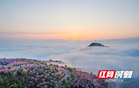 洪江区嵩云山云海日出（黄文胜 摄.jpg