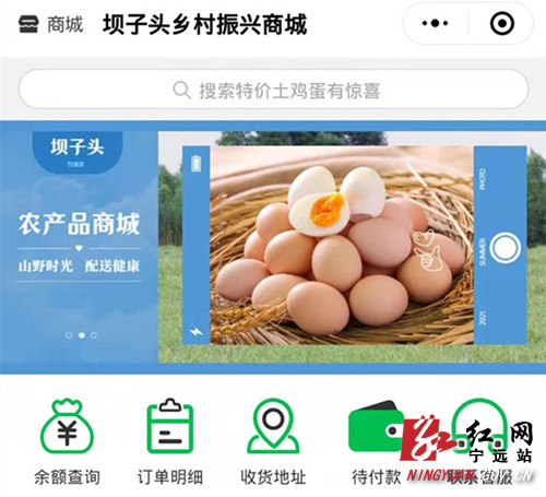 宁远：“小程序”助力乡村产业振兴_副本500.jpg