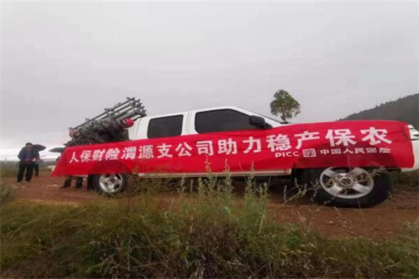 图片11_副本.png
