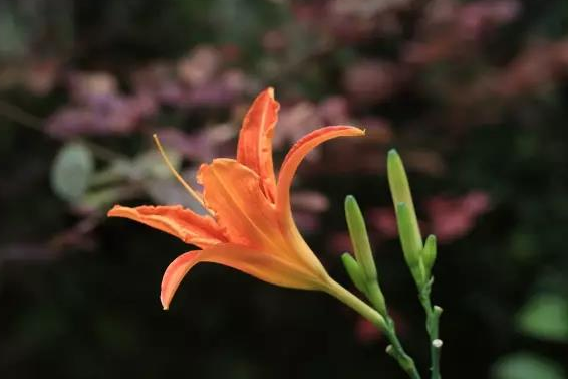 2e8a1e7b-be4c-4912-b1c0-1c1cab6f06b3.png 2e8a1e7b-be4c-4912-b1c0-1c1cab6f06b3.png