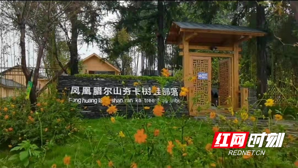 图片9.jpg
