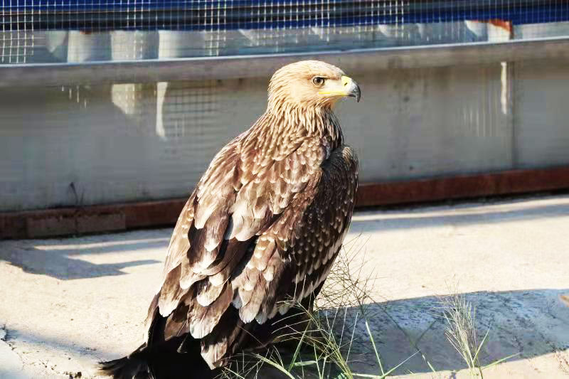 微信图片_20210924162125.jpg 微信图片_20210924162125.jpg