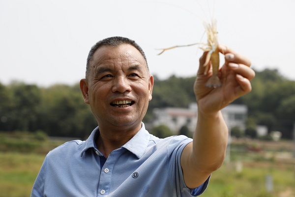 前来朝龙村钓罗氏虾的市民感受丰收的喜悦.jpg