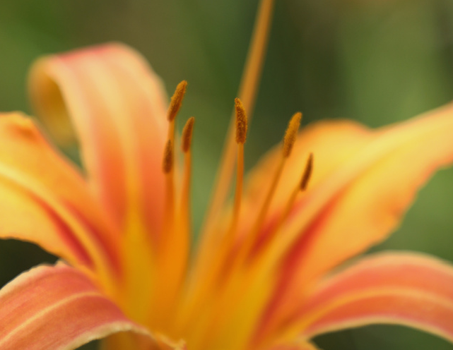 2e8a1e7b-be4c-4912-b1c0-1c1cab6f06b3.png 2e8a1e7b-be4c-4912-b1c0-1c1cab6f06b3.png