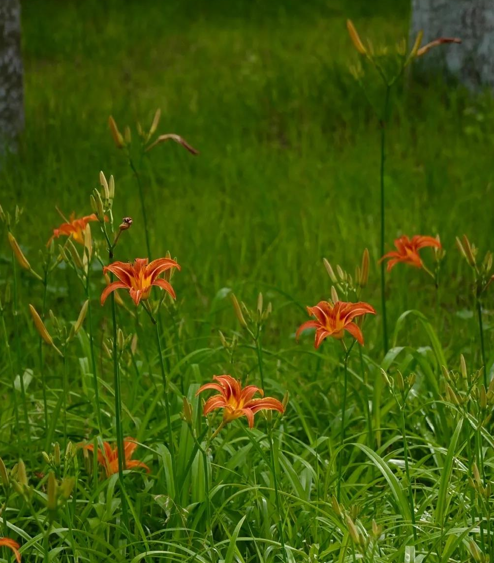 2e8a1e7b-be4c-4912-b1c0-1c1cab6f06b3.png 2e8a1e7b-be4c-4912-b1c0-1c1cab6f06b3.png