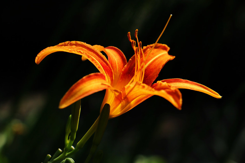 2e8a1e7b-be4c-4912-b1c0-1c1cab6f06b3.png 2e8a1e7b-be4c-4912-b1c0-1c1cab6f06b3.png