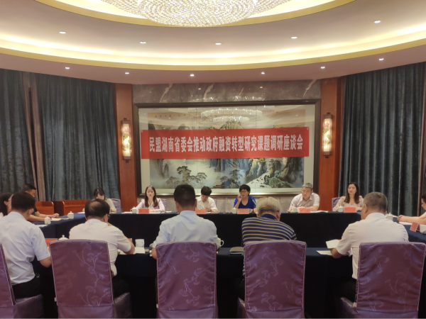 民盟湖南省委员会来邵开展政府融资转型研究课题调研.png
