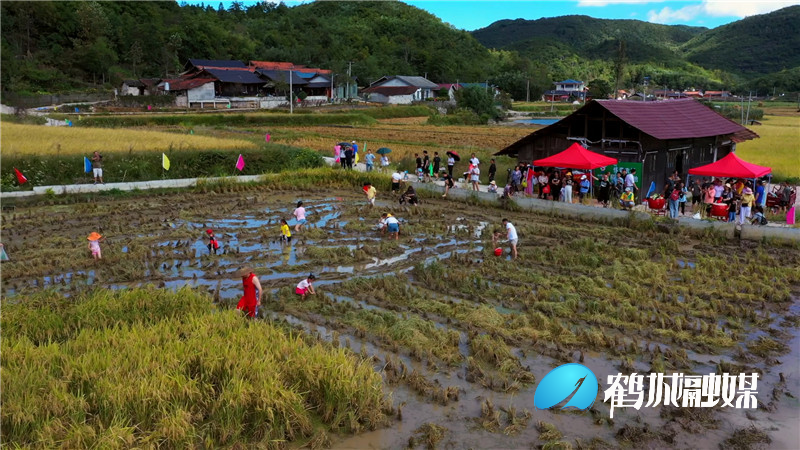 鹤城区大坪村：捉稻花鱼、摆长龙宴庆祝丰收（半成品）.mp4_20210926_194607.037_副本.jpg