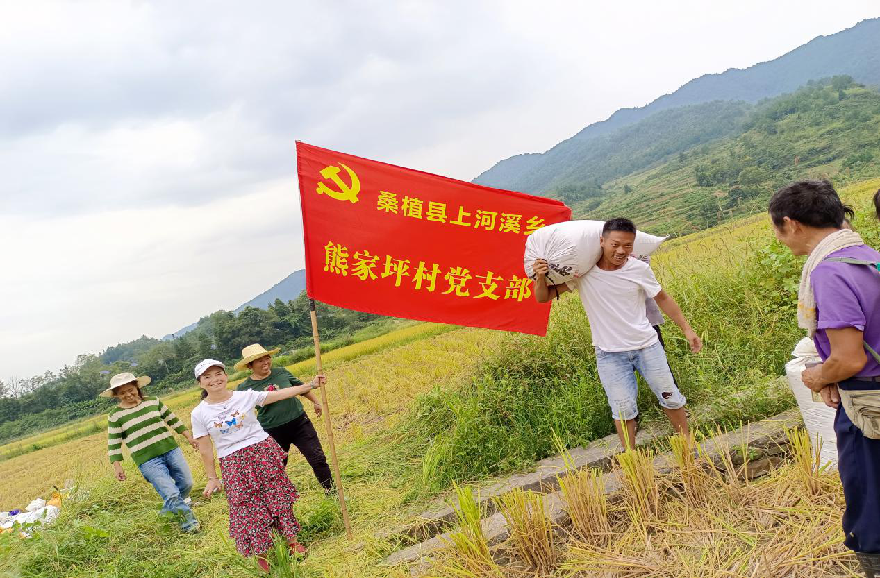 图片4.png