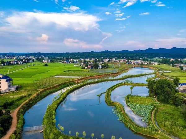 人居环境整治后的唐家湖湿地.jpg