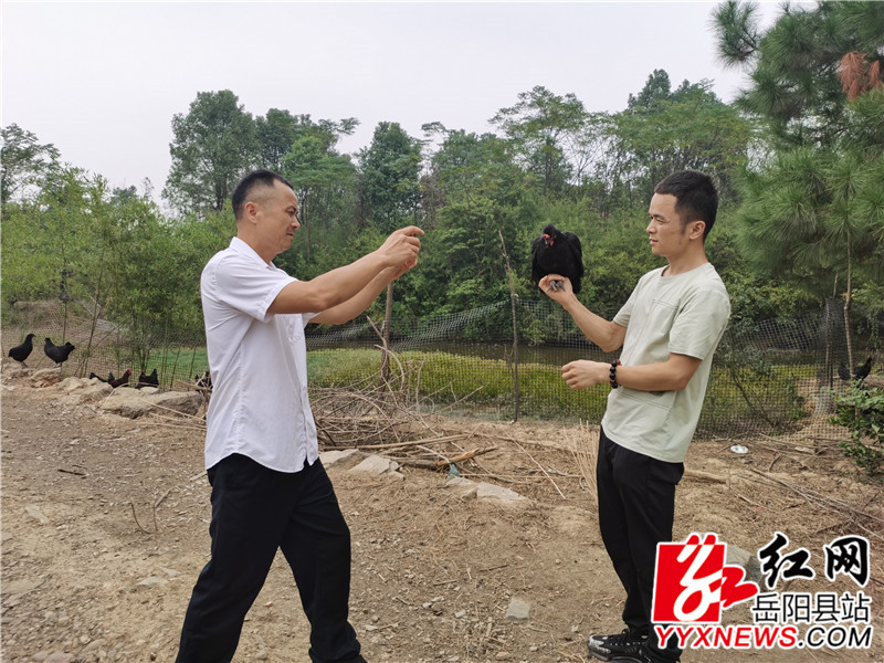 正在养殖户家中拍摄鸡.jpg