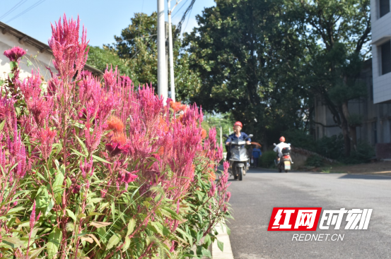 微信截图_20210930211200.png 微信截图_20210930211200.png