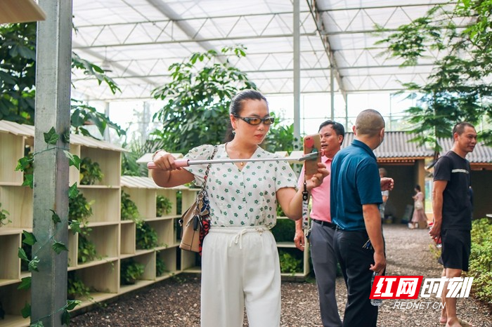 蓝山:智慧农业 产业升级 (2).jpg