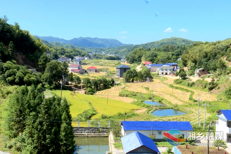 湘乡金薮温泉现场图片