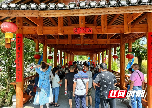 图片7.jpg