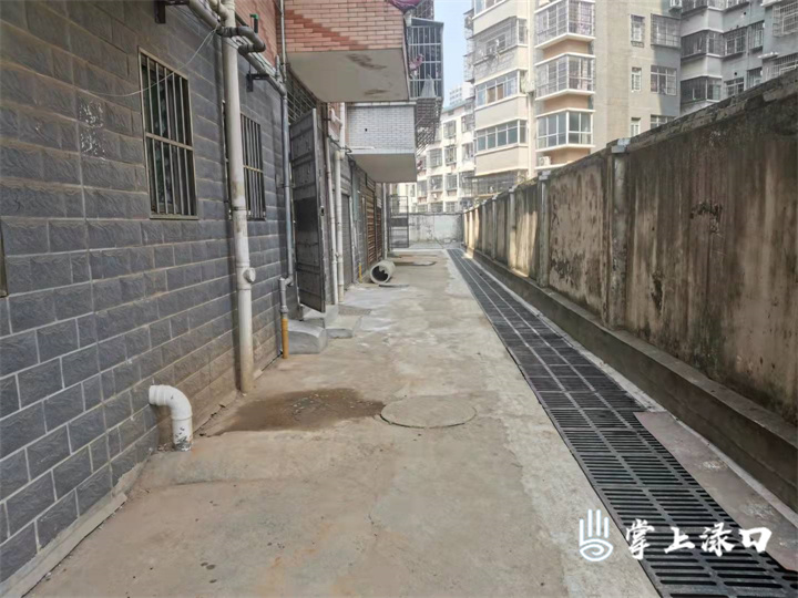 555.jpg