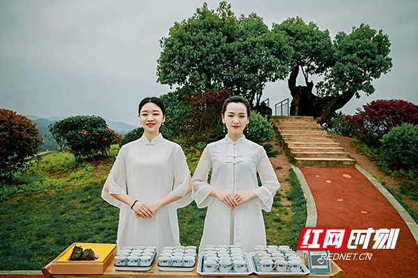 喜讯 ！安化县茶艺师协会成立