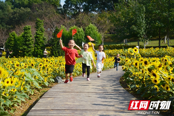 花语世界向日葵花海旁孩子们欢快奔跑   谢少杰  摄.jpg