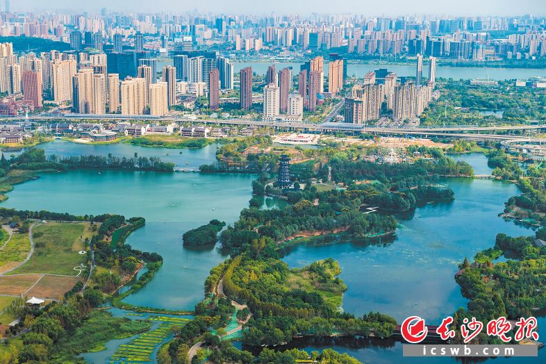 在湘江西岸，风景如画的洋湖湿地公园已经成为市民日常休闲游玩必去的景点。